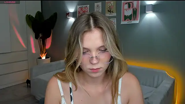 linakorvin webcam
