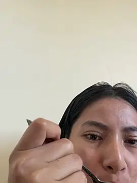 Aryiro webcam