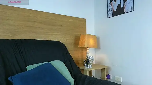 Stiven_Benet_ webcam