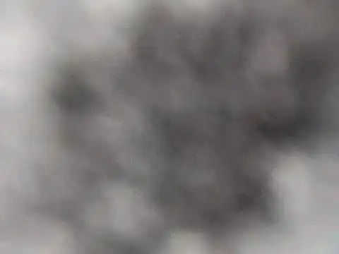 sarpe4 webcam