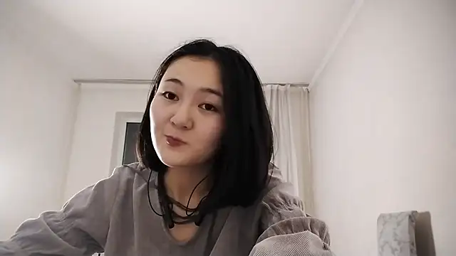 Lyndasilk webcam