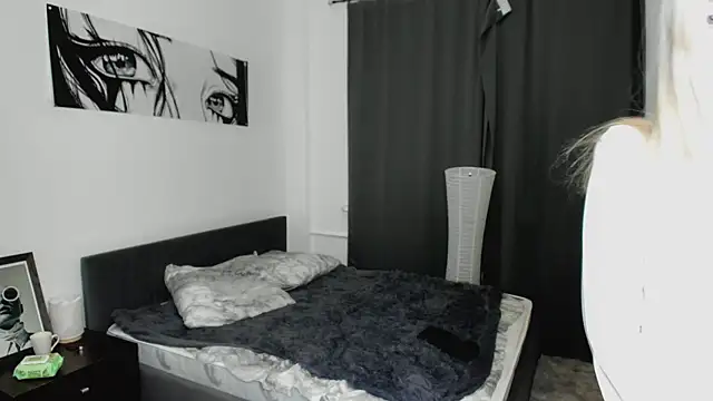 PocketDollX webcam