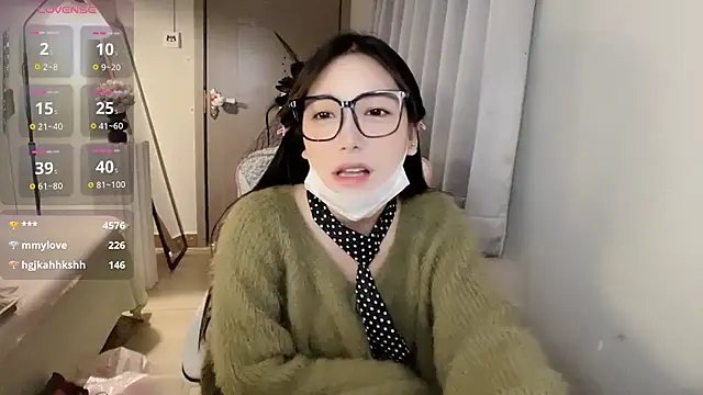 Xiao--Lin webcam