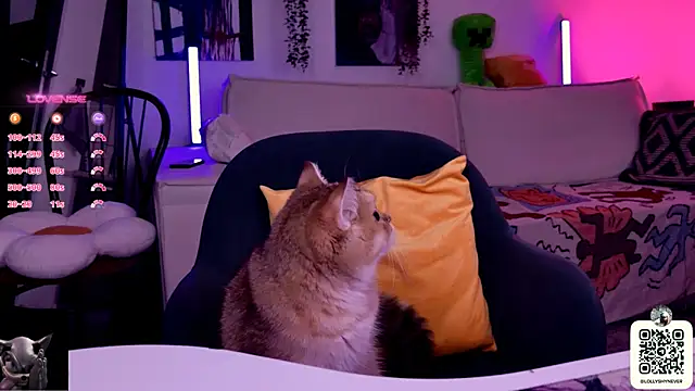 Lollyshy webcam