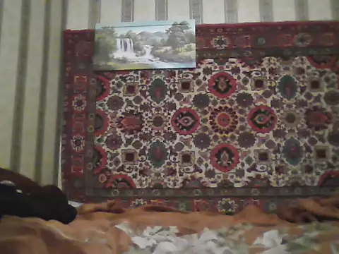 AlferezzSolvajo webcam