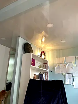 Canneela webcam