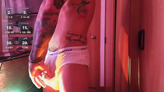 josemeirelesfox webcam