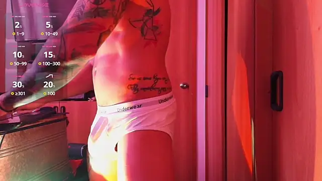 josemeirelesfox webcam