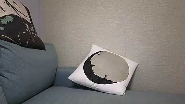 natesui webcam