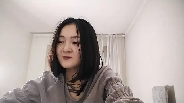 Lyndasilk webcam
