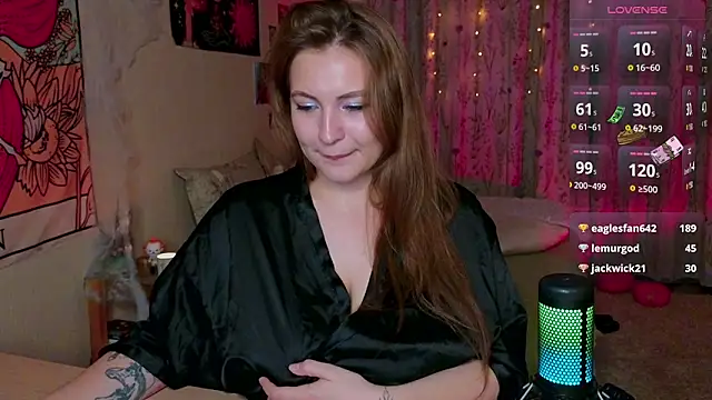 LisaCase webcam