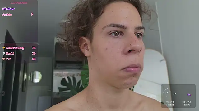 grey___27 webcam