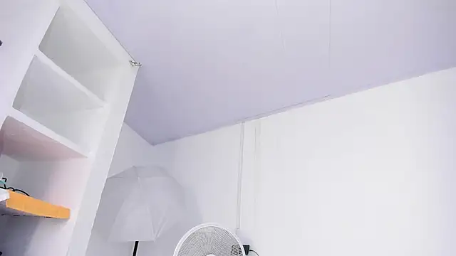 barbie_ds webcam
