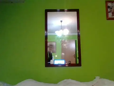 Tiger202441 webcam