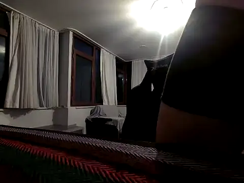 ALPHANDRE webcam