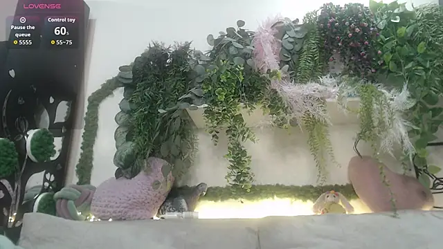 scyrim2 webcam