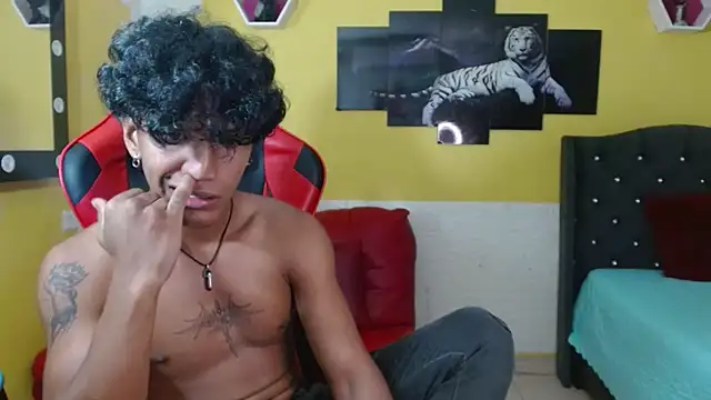 bull_cam webcam