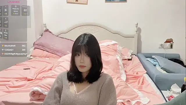 DD-NN webcam