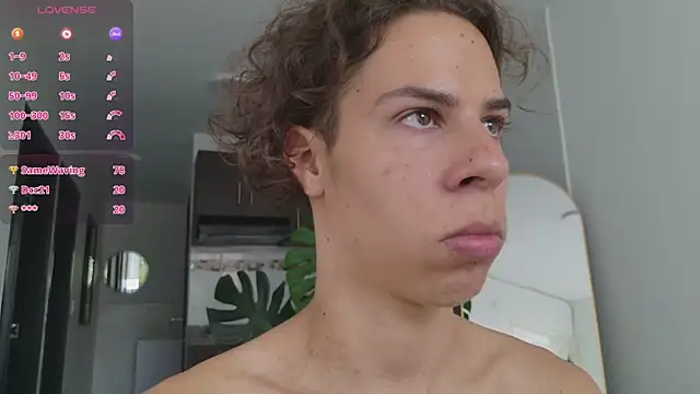 grey___27 webcam