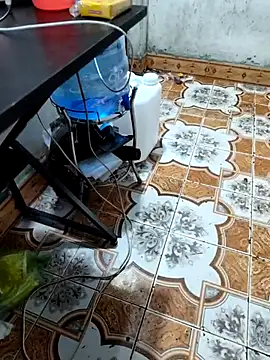 pusi_xinh webcam