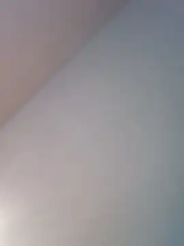 danrichman webcam