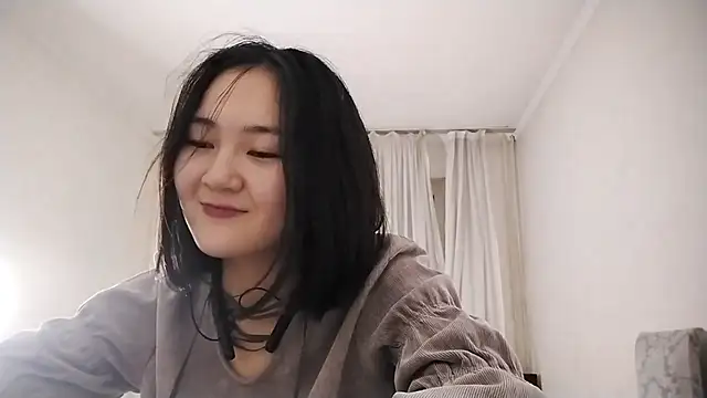 Lyndasilk webcam