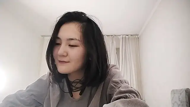 Lyndasilk webcam