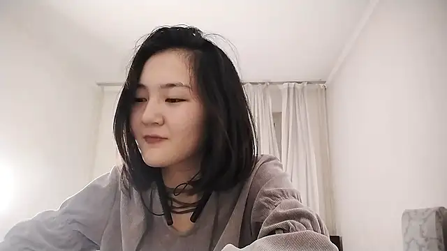 Lyndasilk webcam
