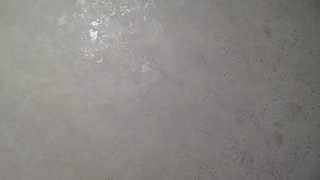 StarandMoon webcam
