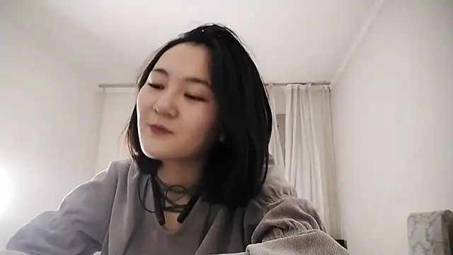 Lyndasilk webcam