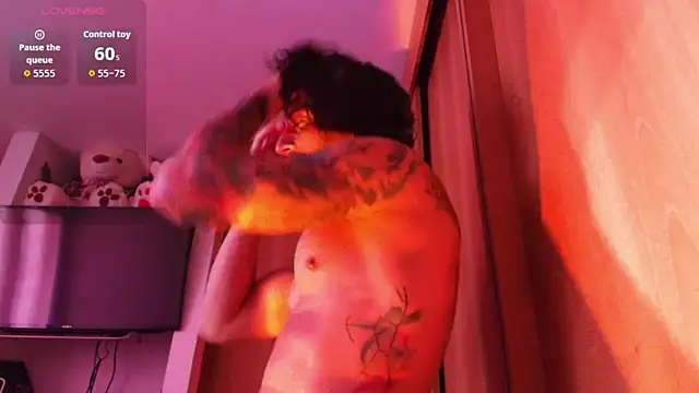josemeirelesfox webcam