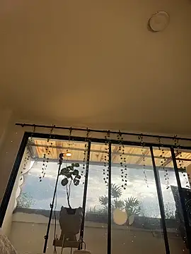 PandoraRider webcam