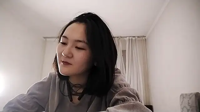 Lyndasilk webcam
