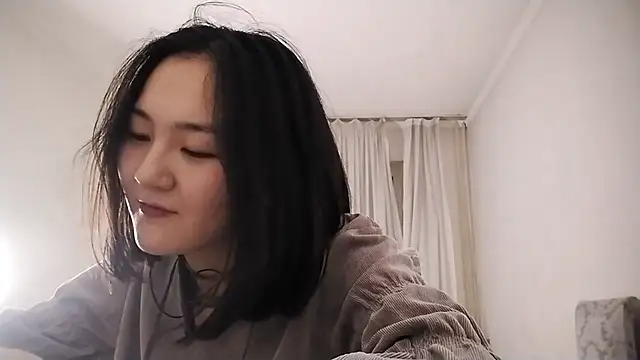 Lyndasilk webcam