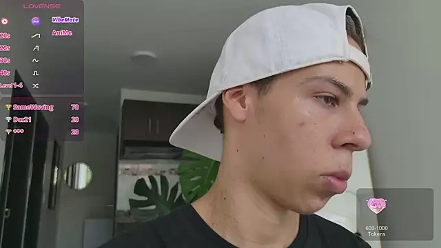 grey___27 webcam