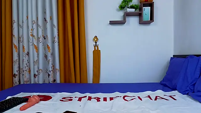 Sl_nishi webcam
