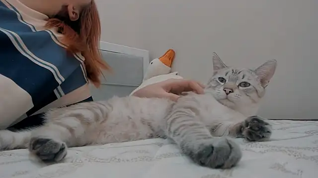 yuna_loon webcam