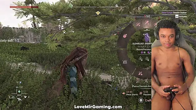 lovemirgaming webcam