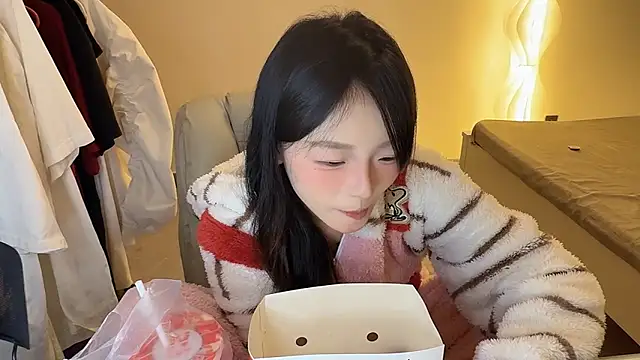 Robin-o3 webcam