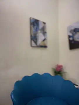 NovaFoxx webcam
