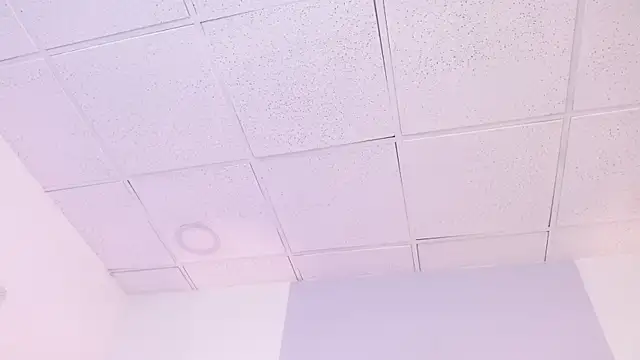 Celesstegh webcam