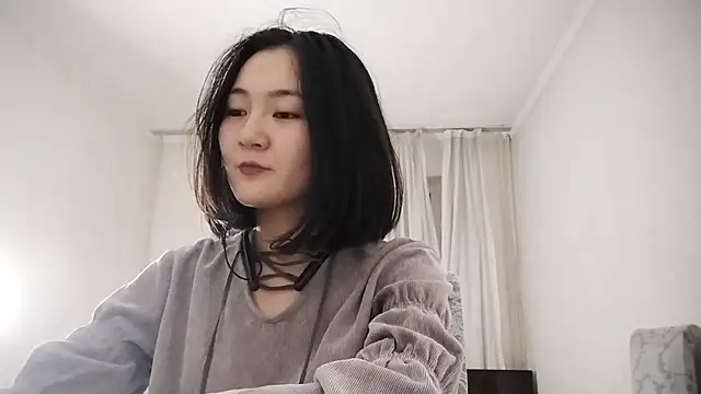 Lyndasilk webcam