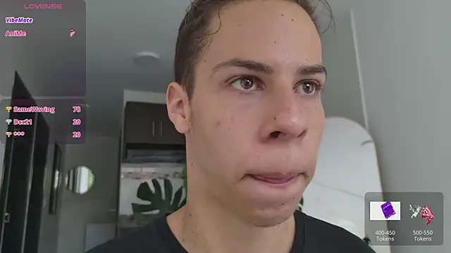 grey___27 webcam