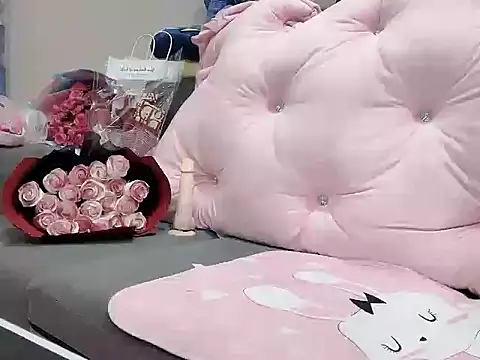 Stella-869 webcam