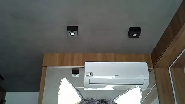 SkinnyKitten webcam