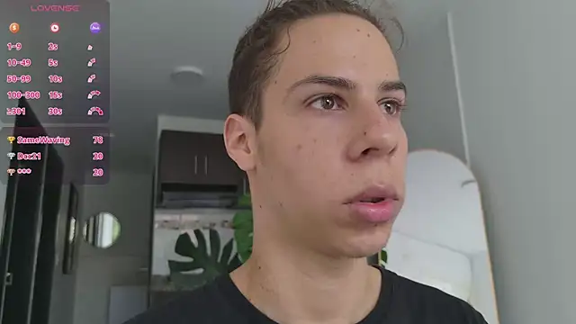 grey___27 webcam