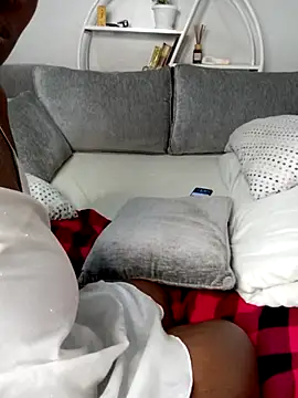 pap_ice webcam