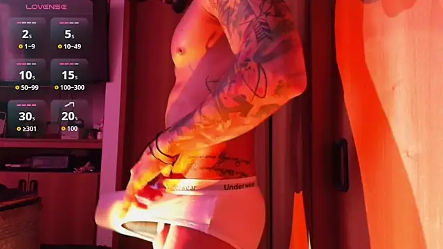 josemeirelesfox webcam