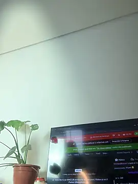 Nikatsu webcam