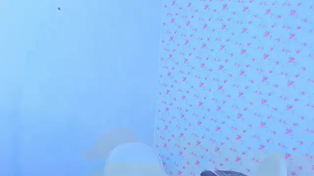 StassieBell webcam